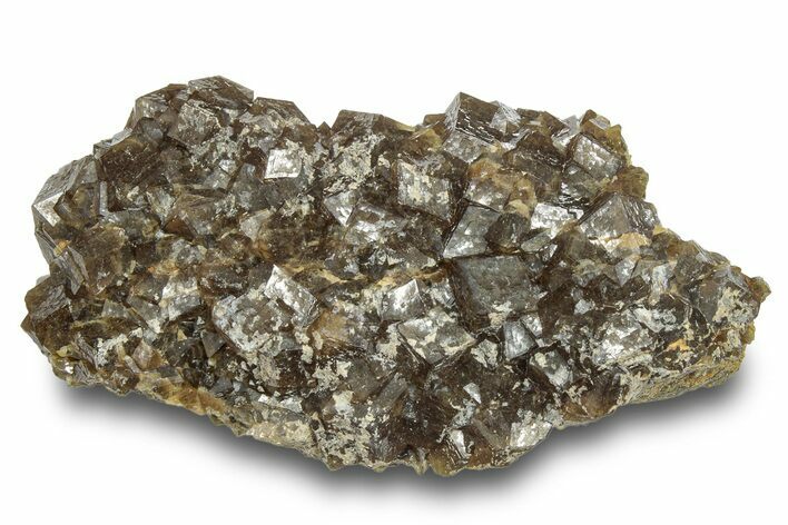 Sharp Andradite Garnet Cluster - Stanley Butte, Arizona #245057